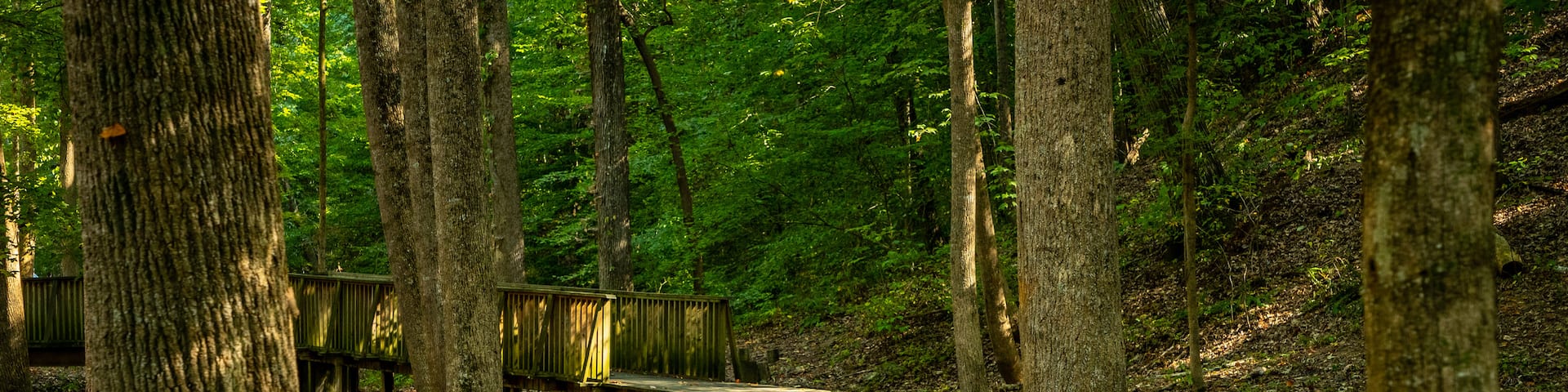 Wilshire Trails Park featuring a garden