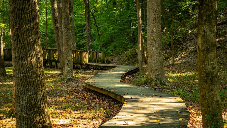 Wilshire Trails Park