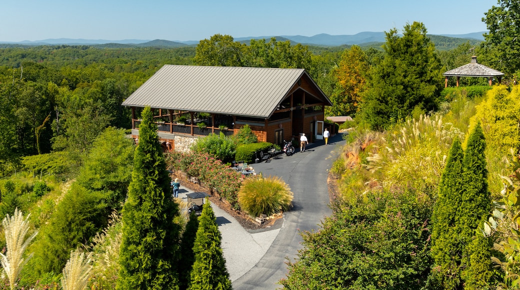 Wolf Mountain Vineyards