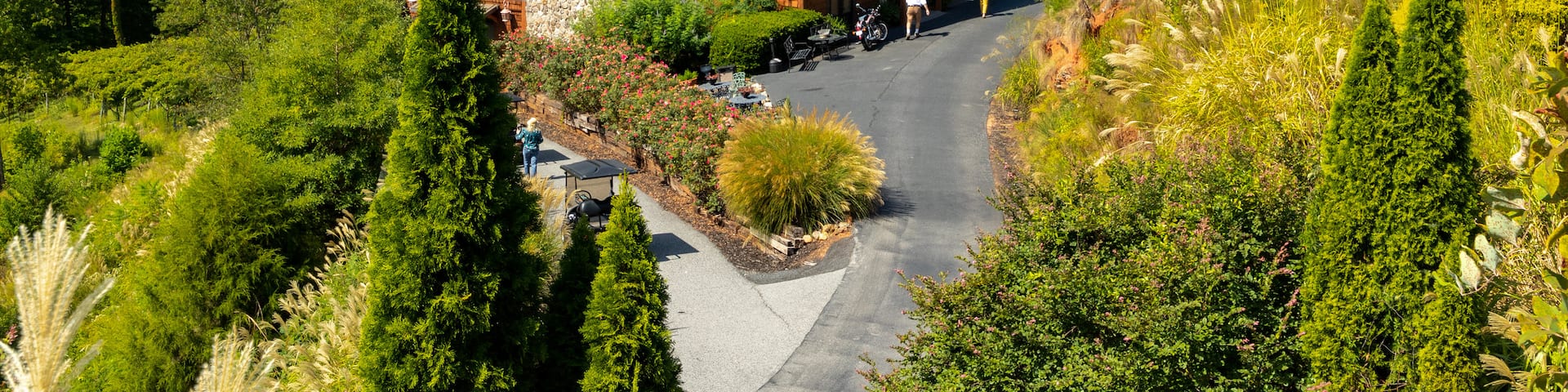 Wolf Mountain Vineyards showing landscape views