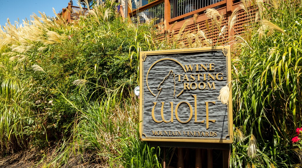 Wolf Mountain Vineyards which includes a park and signage