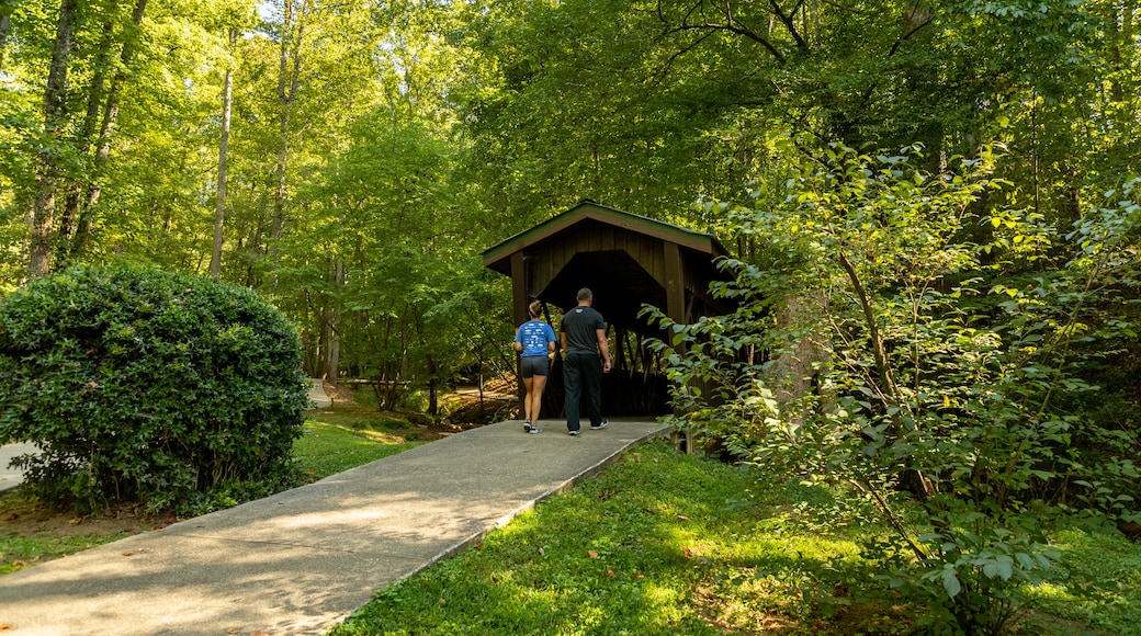 Wilshire Trails Park featuring a park and a bridge as well as a couple