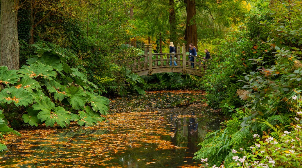 Winterbourne House & Garden