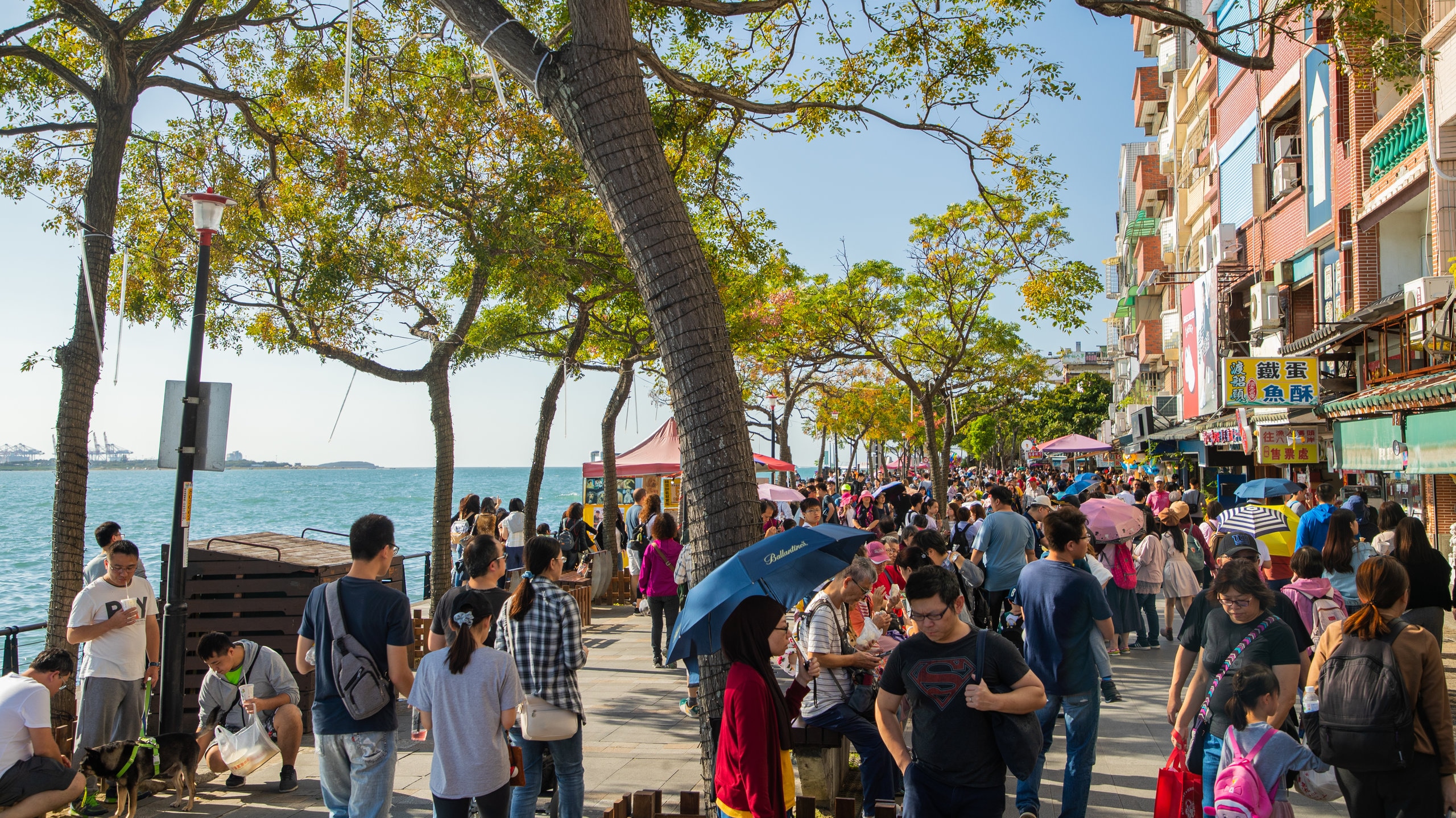 Tamsui Old Street in Tamsui - Tours and Activities | Expedia