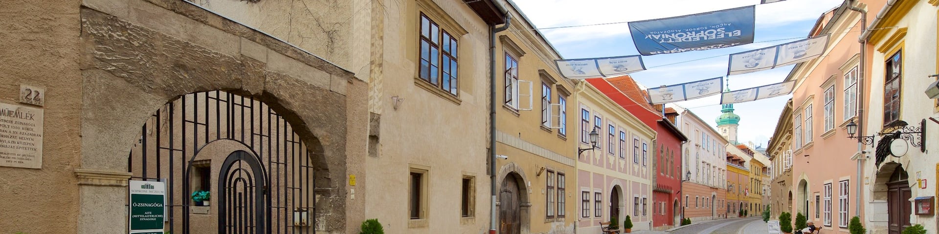 Medieval Synagogue