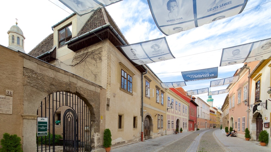 Medieval Synagogue