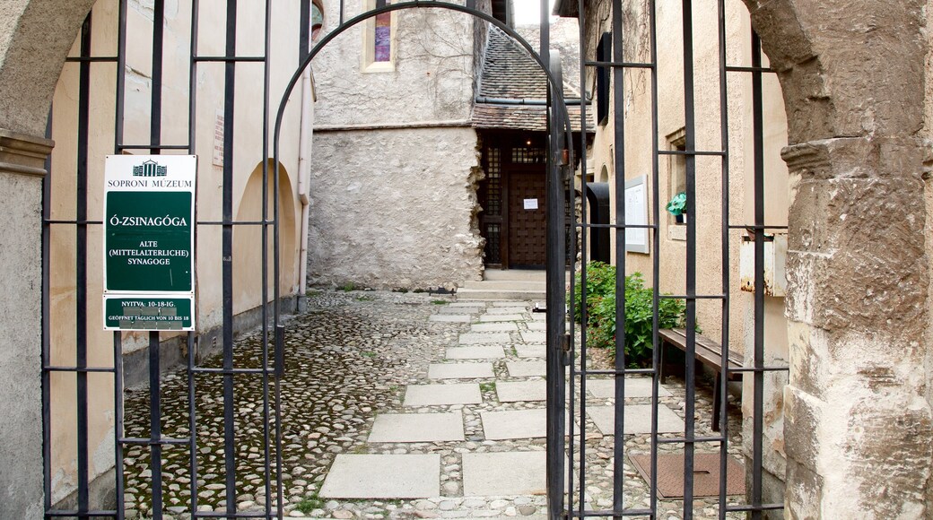 Medeltida synagogan