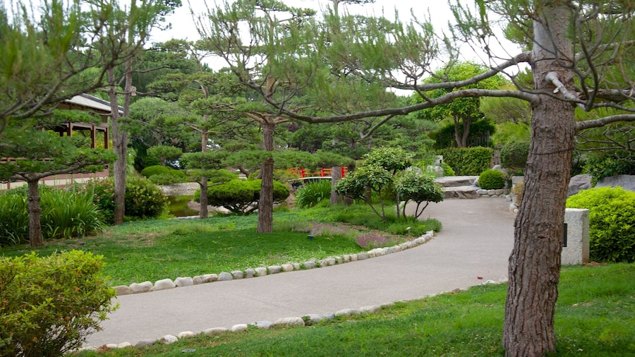 Jardin japonais