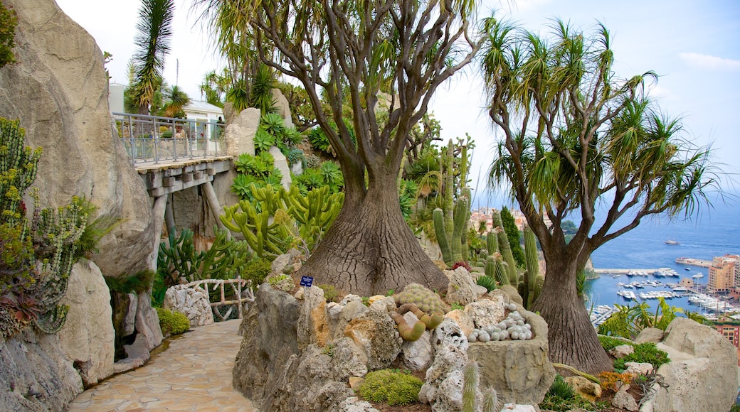 Jardin Exotique