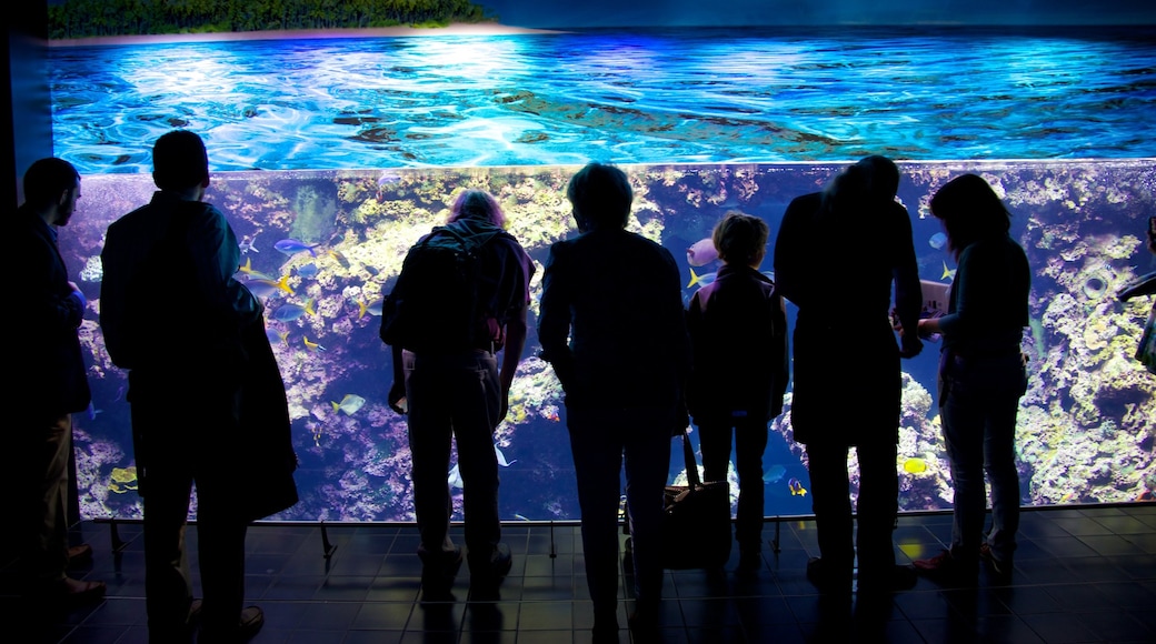 Museo Oceanográfico