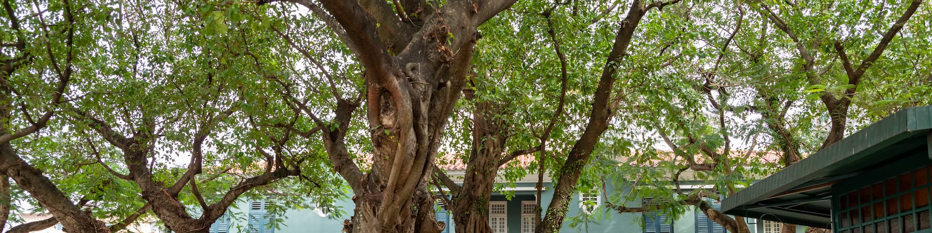 Barra Square which includes a park