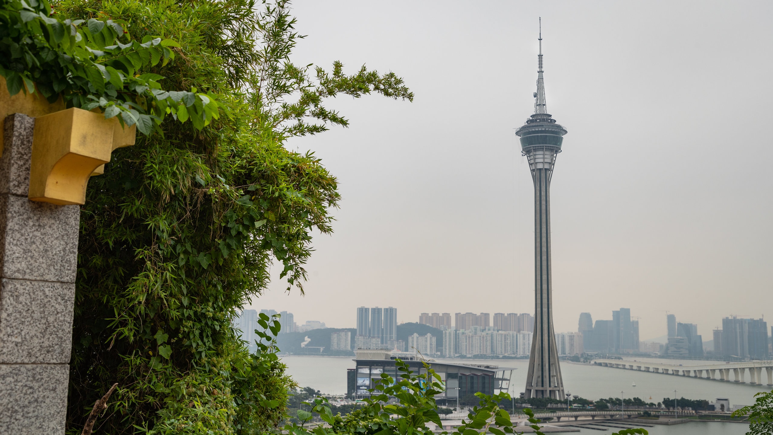 Macau Tower showing a city, a bay or harbor and views