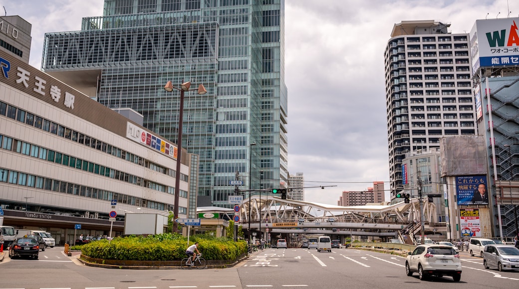 Abeno Harukas which includes a city