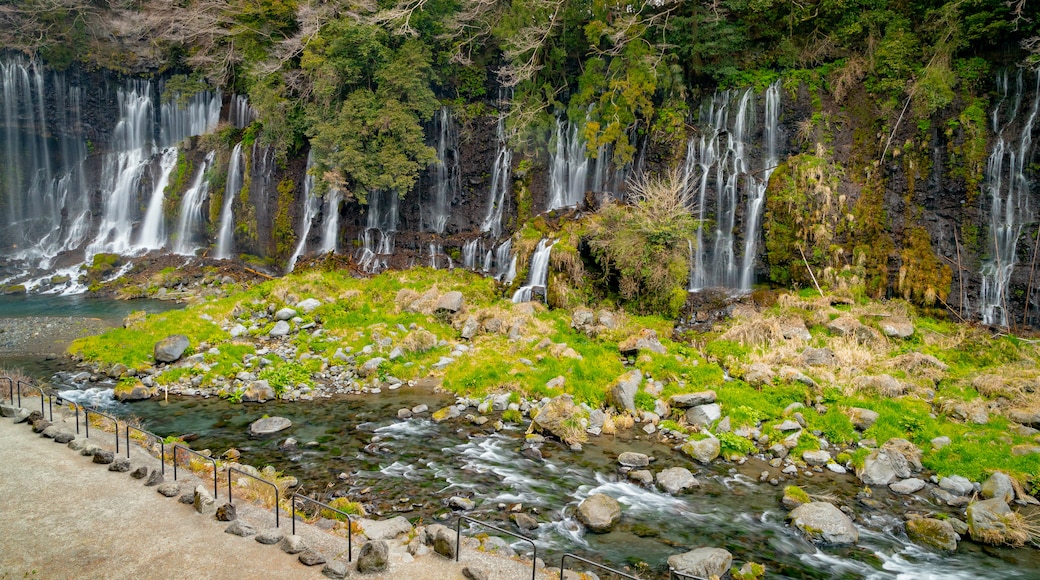 Fujinomiya featuring a river or creek and a cascade