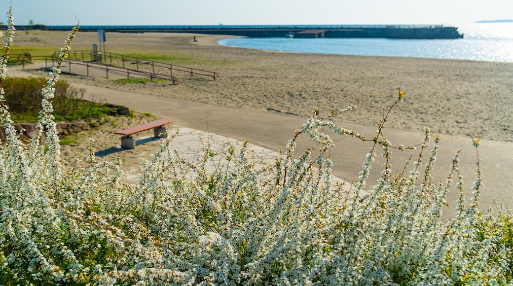 Nagahama Beach which includes a beach and wildflowers