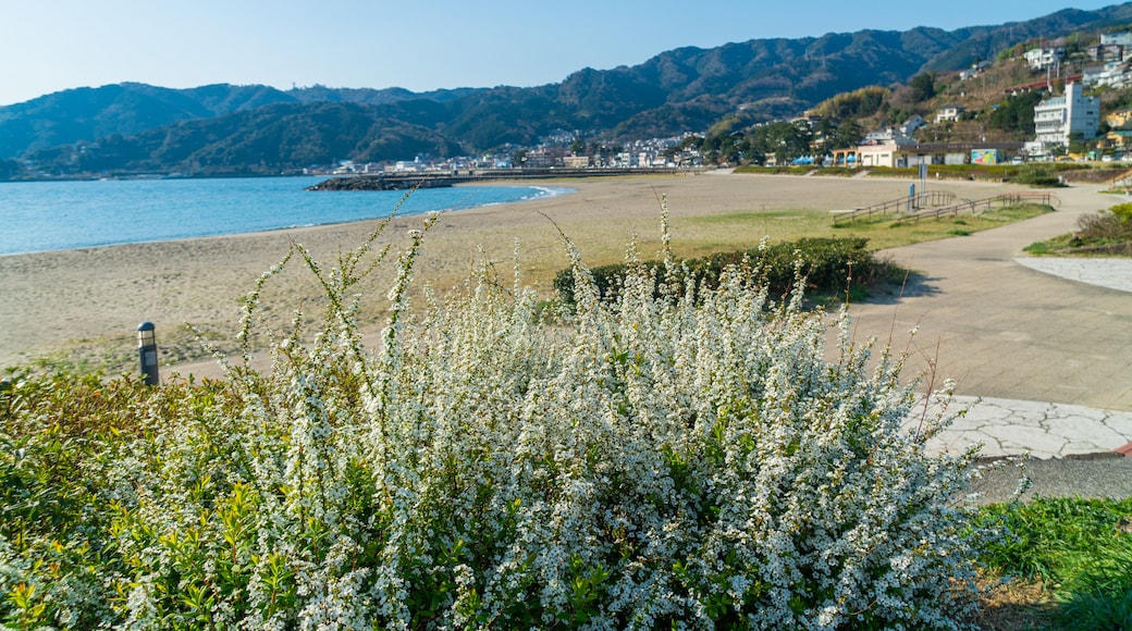 Nagahama Beach featuring general coastal views, a sandy beach and a coastal town