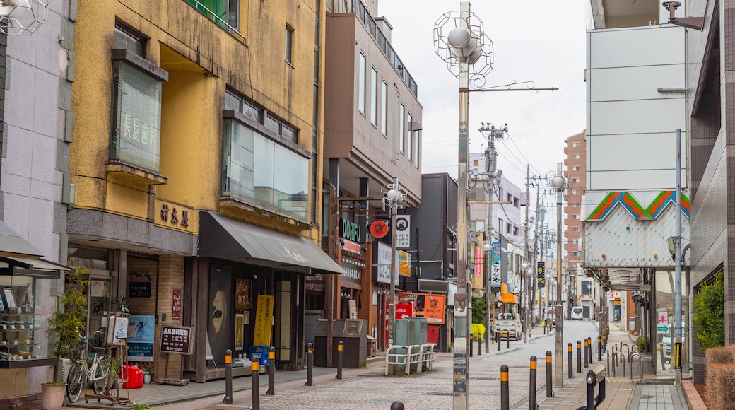 Gotemba featuring a city