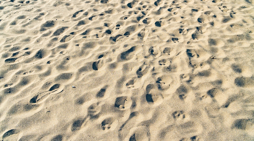 Nagahama Beach which includes a sandy beach