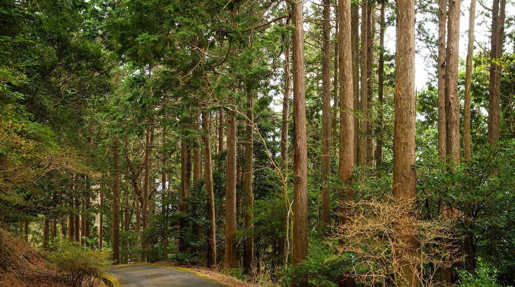 Himenosawa Park featuring a garden