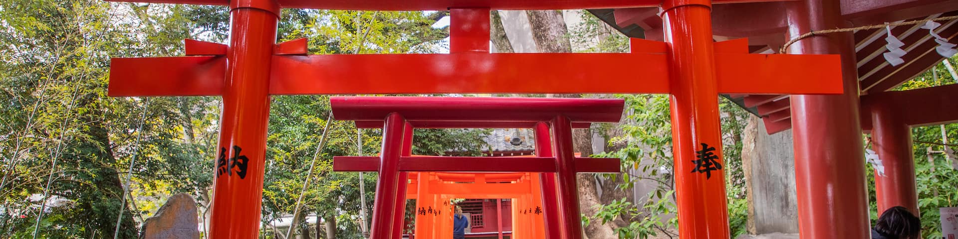 Kinomiya Shrine which includes heritage elements and a garden