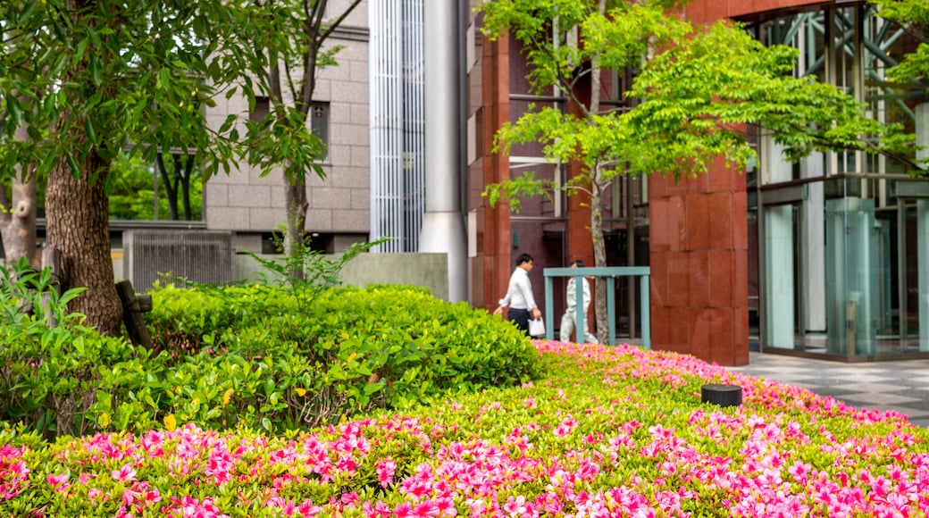 Yodogawa featuring a park and wildflowers