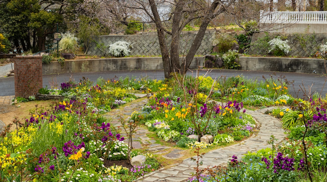 Akao Herb and Rose Garden featuring a garden and wildflowers