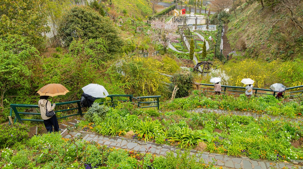 Akao Herb and Rose Garden which includes a garden as well as a couple