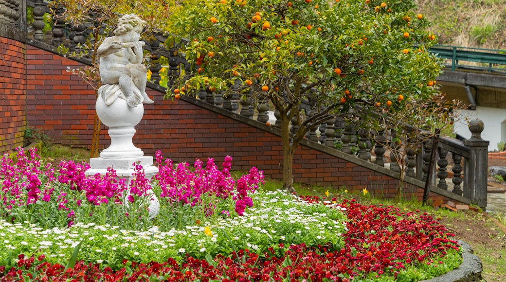 Akao Herb and Rose Garden showing a statue or sculpture, a park and wildflowers