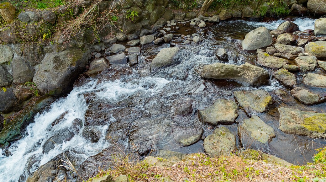 Atami Plum Garden showing a river or creek