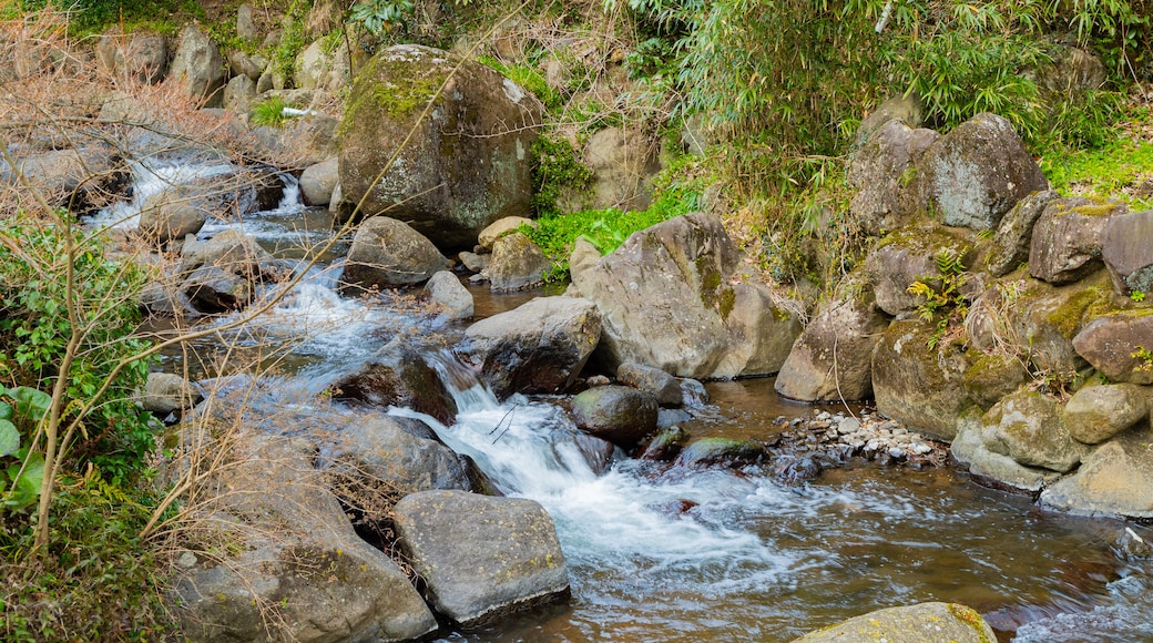 Atami Plum Garden featuring a river or creek