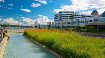 Quebec das einen Stadt sowie einzelner Mann