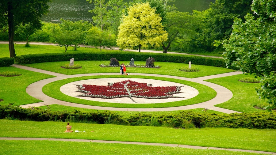 Toronto showing outdoor art, flowers and a park