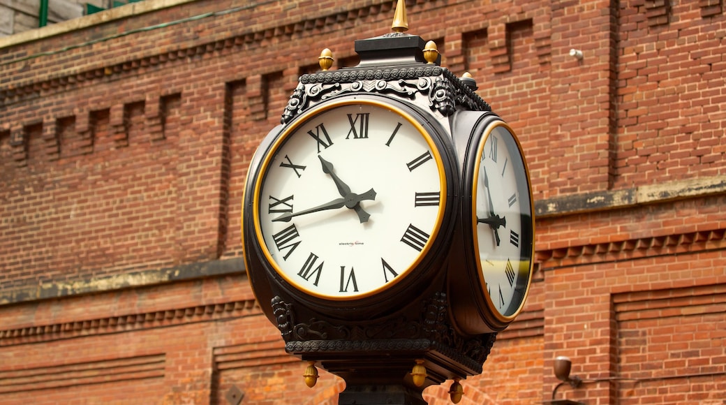 The Distillery Historic District welches beinhaltet historische Architektur