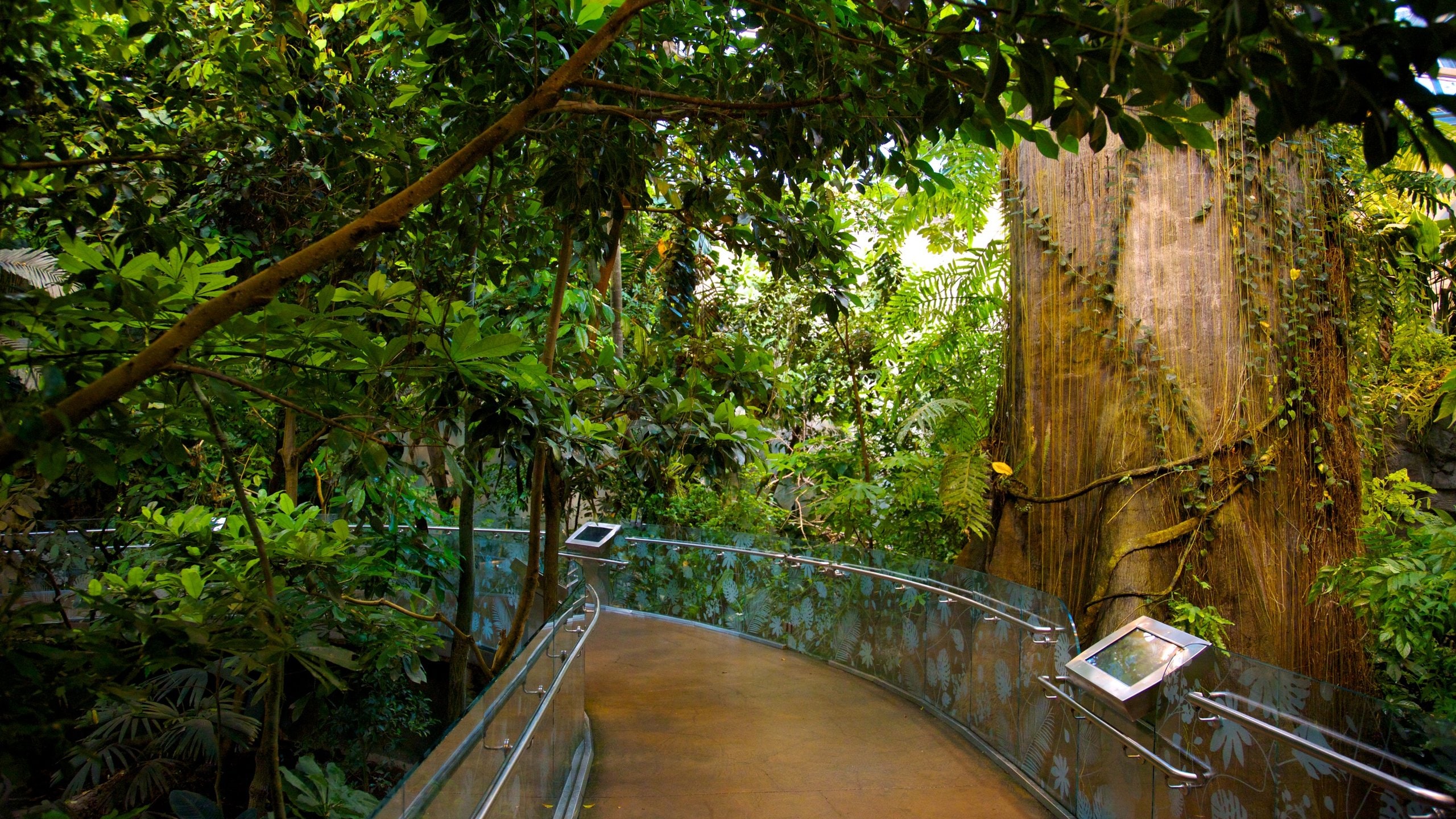 Visit Montreal Biodome in MercierHochelagaMaisonneuve Expedia