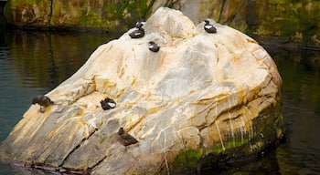 Montreal Biodome showing bird life