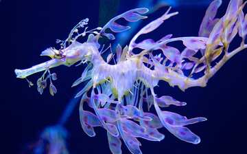 Visit Aquarium Du Quebec In Quebec Expedia Visit Aquarium Du Quebec In Quebec Expedia