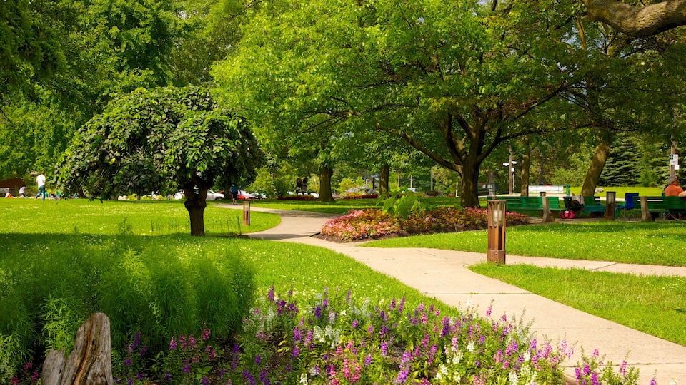 High Park mostrando flores e um jardim