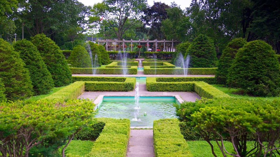 High Park que inclui um lago, um parque e uma fonte