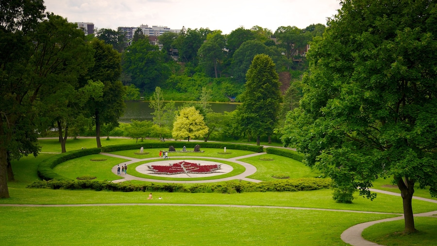 High Park featuring a garden