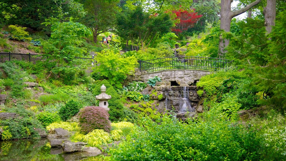 High Park mostrando um parque e um rio ou córrego