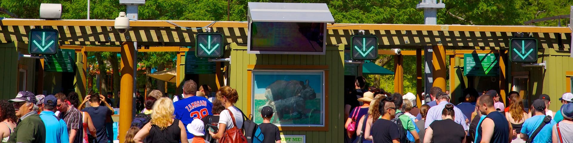 Toronto Zoo showing signage and zoo animals as well as a large group of people