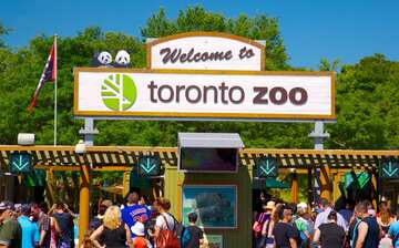 トロント動物園 スカボロー エクスペディア トロント動物園 スカボロー エクスペディア