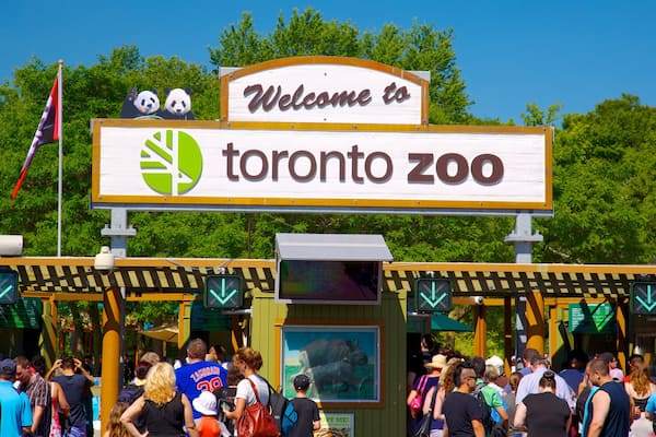 Zoo de Toronto montrant signalisation et animaux de zoo aussi bien que important groupe de personnes