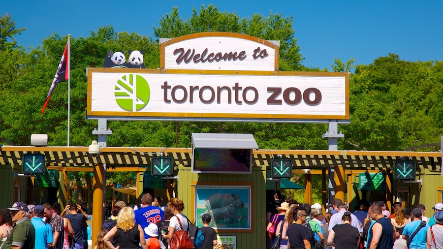 Toronto Zoo mostrando animais de zoológico e sinalização assim como um grande grupo de pessoas