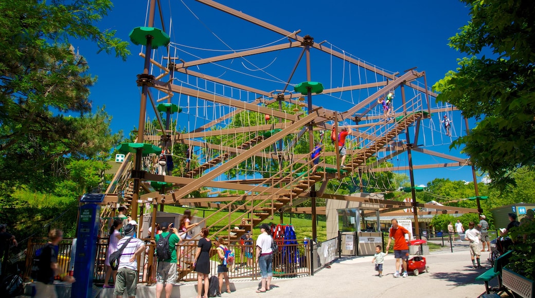 Toronto Zoo which includes a playground and rides as well as a large group of people