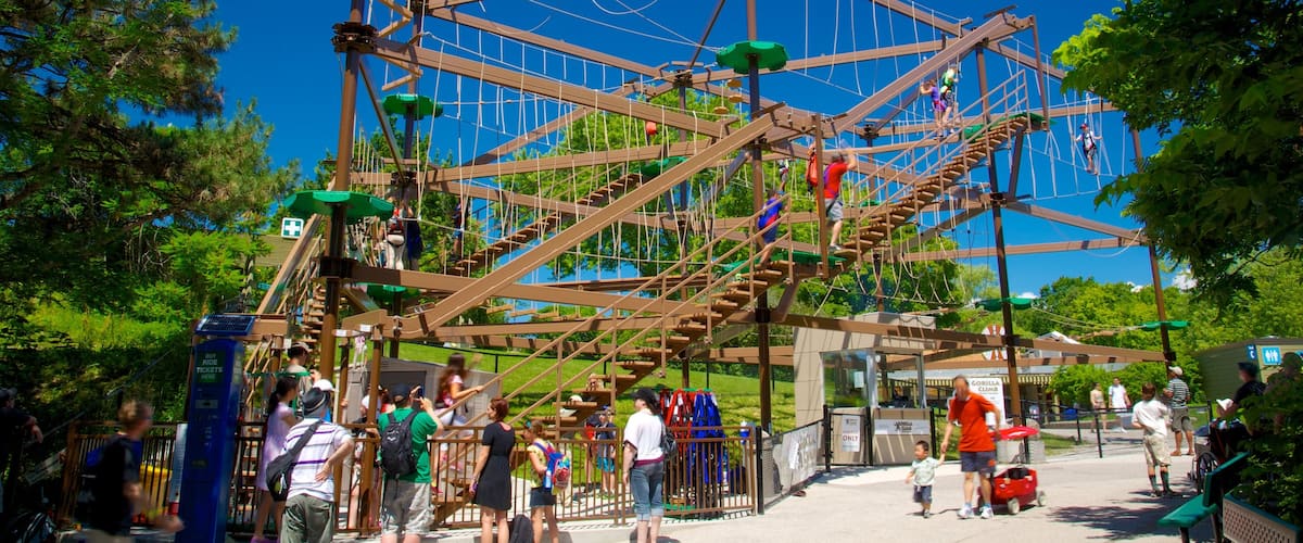 Toronto Zoo showing rides and a playground as well as a large group of people