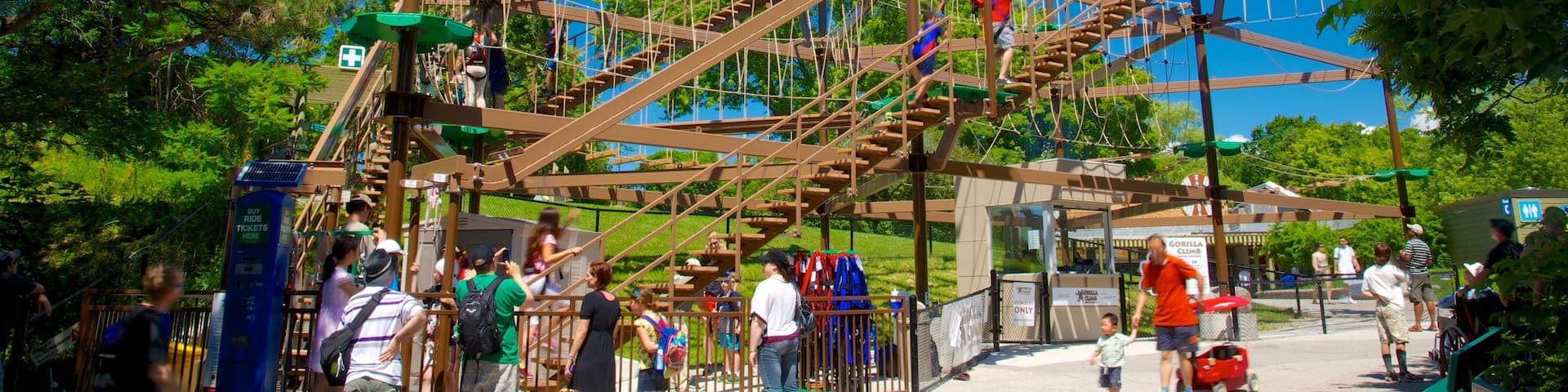 Zoo de Toronto mettant en vedette aire de jeu et balades aussi bien que important groupe de personnes
