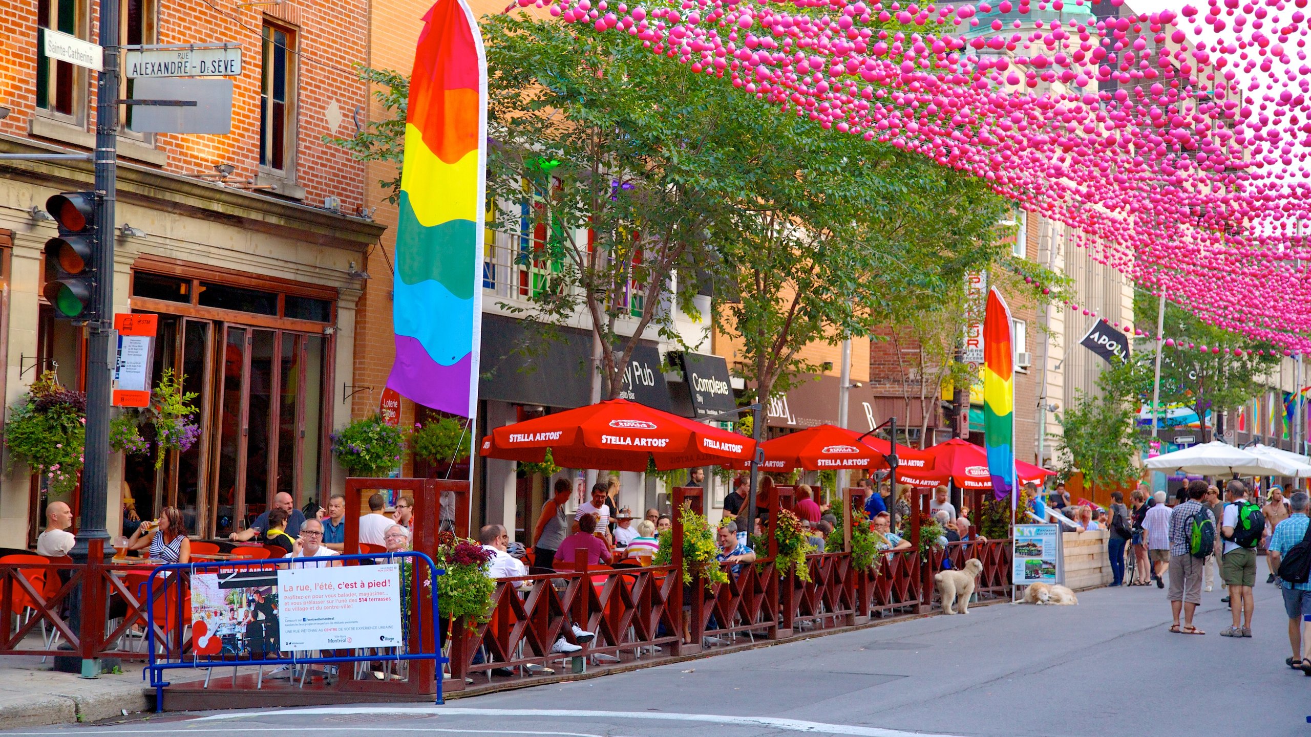 Gay Village which includes street scenes, outdoor eating and cafe lifestyle