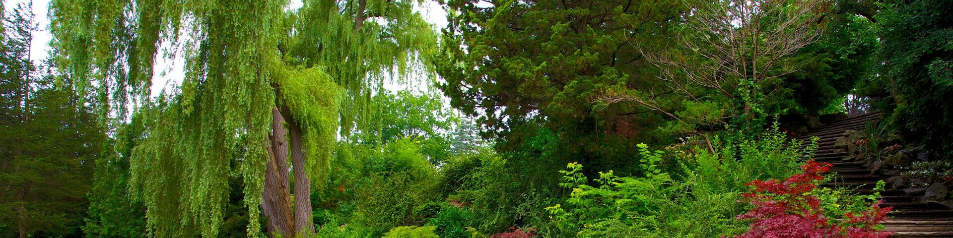 Edward Gardens welches beinhaltet Garten