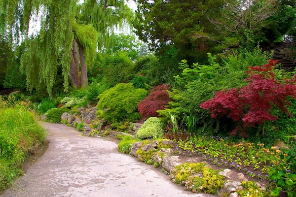Edward Gardens featuring a park